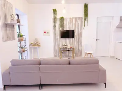 a living room with a couch and a tv at ALc in Ribeira Brava