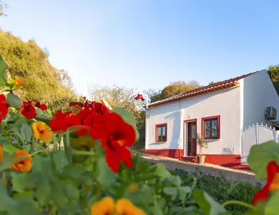 a house with red flowers in front of it at Chalet du Solei- V022 in Salema