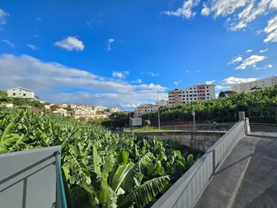 arial view of a canal with a bridge and plants at Autonomia House I in Câmara de Lobos