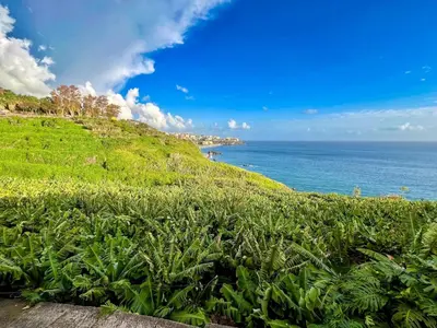 a green hill with the ocean in the background at Villa Irene in Funchal