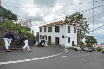 a group of people playing a game on a truck at Carros De Cesto Do Monte in Funchal