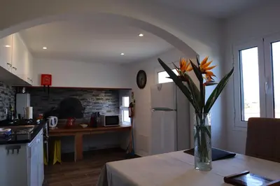 a vase of flowers on a table in a kitchen at Casa Tio Albino I, By OP in Ponta Delgada