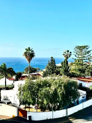 a view of the ocean from a building with palm trees at Reis Magos Ocean View in Caniço