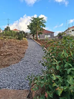 a gravel pathway with a tree in the middle at Moonfall House in Arco da Calheta