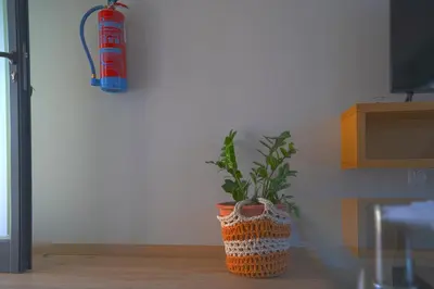 a plant in a pot on the floor next to a fire extinguisher at Moonfall House in Arco da Calheta