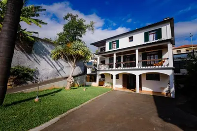 a white house with a palm tree and a driveway at Villa Ocean Bay Funchal By Empório in Funchal