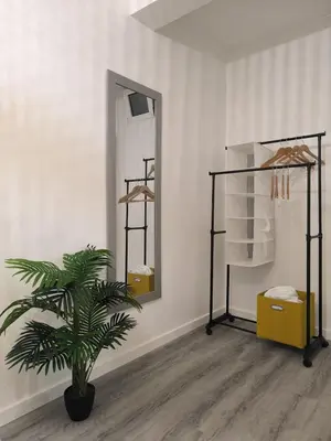 a room with a potted plant and a mirror at Cris Place in Câmara de Lobos