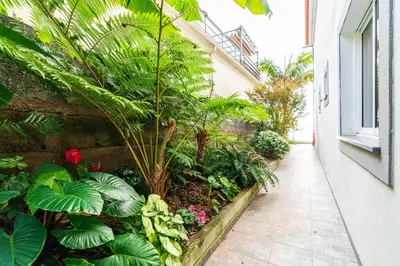 a garden with plants and a walkway in a building at Casa Branca, in the Heart of Arco da Calheta in Arco da Calheta