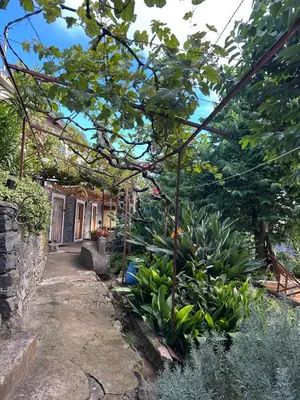 a garden in front of a house with plants at Casa de basalto in Caniço