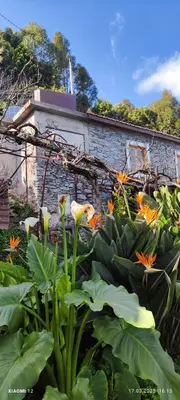 a garden with orange flowers in front of a building at Casa de basalto in Caniço