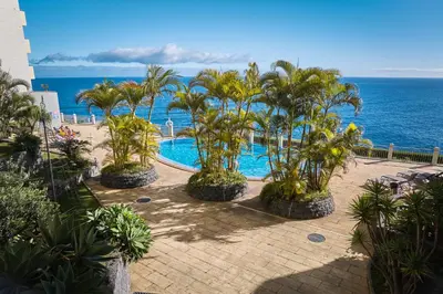 a group of palm trees sitting next to the ocean at IVIS Home By Holiday Rental Madeira in Funchal