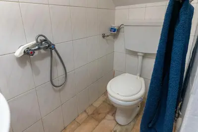 a bathroom with a toilet and a blue shower curtain at Madeira Inn Paradise in Ribeira Brava