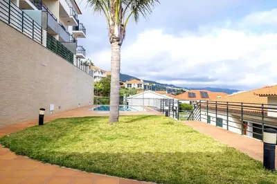 a palm tree in a grassy area next to a building at Villa Pita in Relógio do Poiso