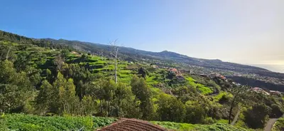 a view of a hill with trees and houses on it at Casa Anjinho in Estreito da Calheta