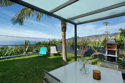 a patio with a table and chairs and a palm tree at Capelos in Funchal