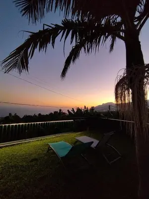 two chairs sitting under a palm tree at sunset at Capelos in Funchal