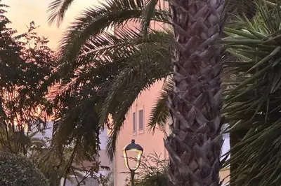 a palm tree with a street light next to a pink building at Casa Clara Sun, Beach and Pool in Lagos