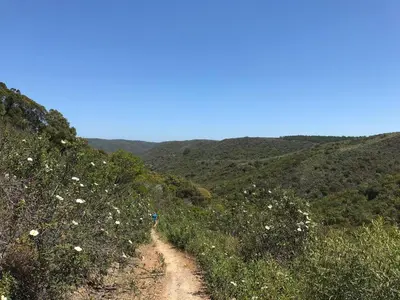 a dirt road in the middle of a hill with flowers at Casa Clara Sun, Beach and Pool in Lagos