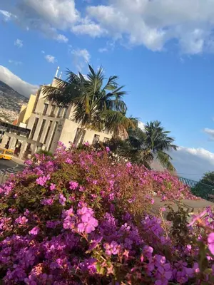 a pile of pink flowers in front of a building at Center Marina view Green Studio in Funchal