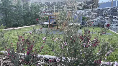 a garden with flowers and a stone wall at Casas das Hortas, Studio Vista Jardim e Serra in Seixal