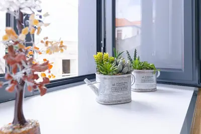 three potted plants sitting on a window sill at Vila Sun House A in Calheta