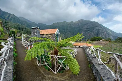 a garden with a palm tree in front of a building at Refugio Da Xamusca in São Vicente