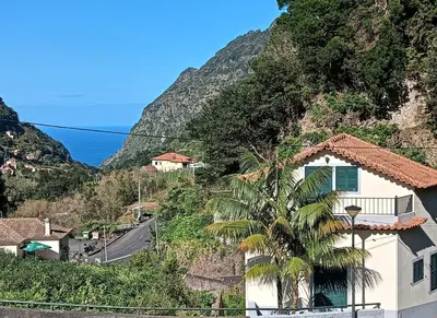 a house with a palm tree next to a mountain at Palm Comfort in São Vicente
