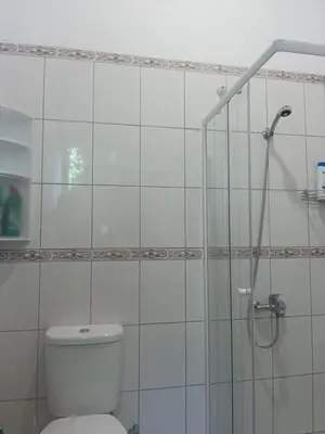 a bathroom with a toilet and a glass shower at Palm Comfort in São Vicente