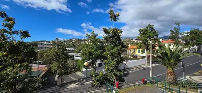 a view of a street with trees in a city at City Nest in Funchal