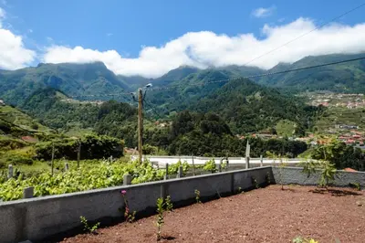 a garden with a view of a mountain at GuestReady - Tranquil Retreat in Nature's Embrace in São Vicente