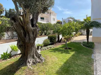 a tree in the grass next to a building at Praia da Luz Mandeliu Exclusive 5 Star Private Villa Heated Pool in Luz
