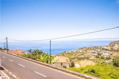 a road with houses and the ocean in the background at Casa dos Leões in Arco da Calheta