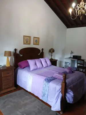 a bedroom with a large bed with purple pillows at Casa da VíVí in Azenha de Baixo
