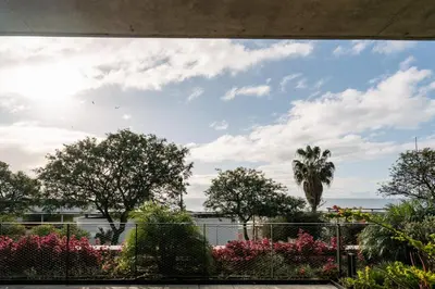 a view of a garden with a palm tree in the background at Savoy Monumentalis your home in Madeira Island in Funchal