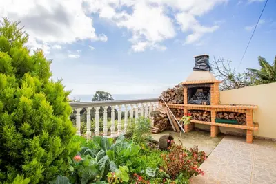 a garden with a stone fireplace in a yard at Casa Terra da Vinha in Canhas