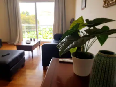 a living room with a potted plant on a table at Aqua Vista Lido Apartment in Funchal