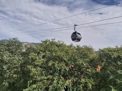 a basket hanging from a wire over some trees at Jose's Place Holiday Apartment in Funchal