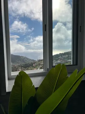 a green plant sitting in front of a window at Casa Morena - Private Tropical Oasis in Campanário