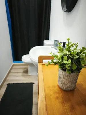 a bathroom with a toilet and a potted plant on a counter at Apartamento MONTECORUJEIRA in Funchal