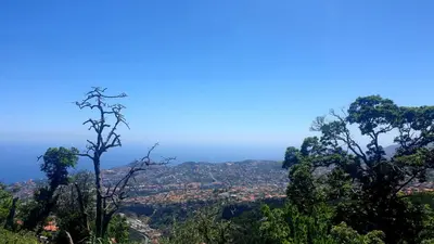 a view of a city from a mountain at Apartamento MONTECORUJEIRA in Funchal