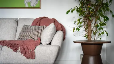 a couch with pillows and a plant in a living room at Amaro Oasis by LovelyStay in Funchal
