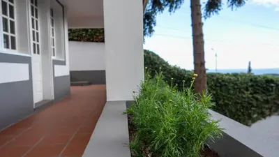 a porch of a house with plants on it at Amaro Oasis by LovelyStay in Funchal