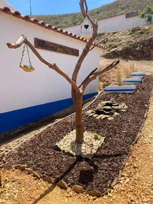a tree in the middle of a yard with a building at Casa Rochinha in Aljezur