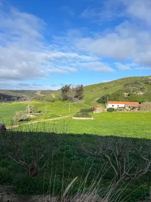 a green field with a house on a hill at Casa Rochinha in Aljezur