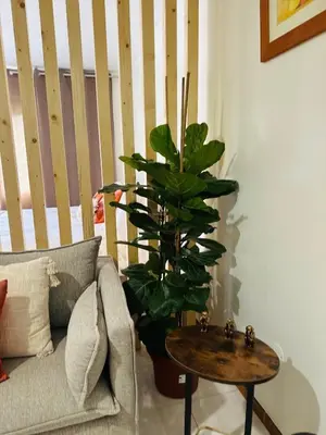 a living room with a couch and a table with a plant at Dani House - Porto Moniz Escape in Porto Moniz