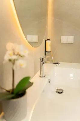 a bathroom with a sink with a mirror and a plant at Safira Suites 302 in Funchal