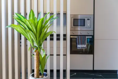 a plant in a pot next to a stove at GuestReady - The perfect place to relax in Funchal in Funchal