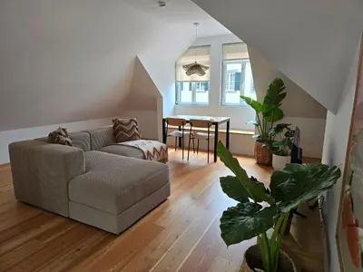 a living room with a television and a plant at Ficus Suites in Ponta do Sol