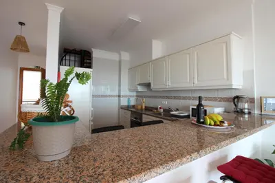 a kitchen with white cabinets and a potted plant on a counter at Musa Apartment in Madalena do Mar