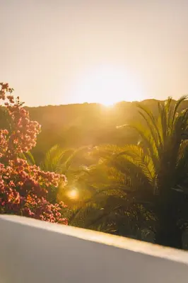 a painting of a sunset with palm trees at Casa Monki in Raposeira